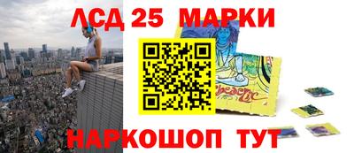 СК Гатчина