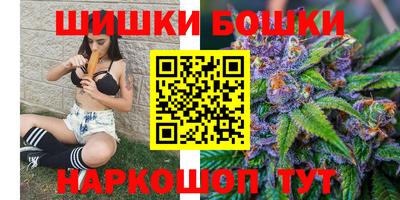 СК Гатчина