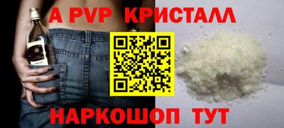 СК Гатчина