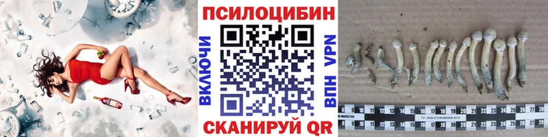 Галлюциногенные грибы GOLDEN TEACHER  MEGA вход  Зеленогорск 