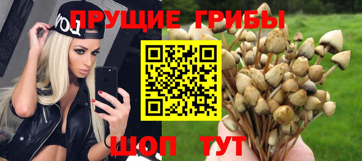 ГАШ Зеленогорск