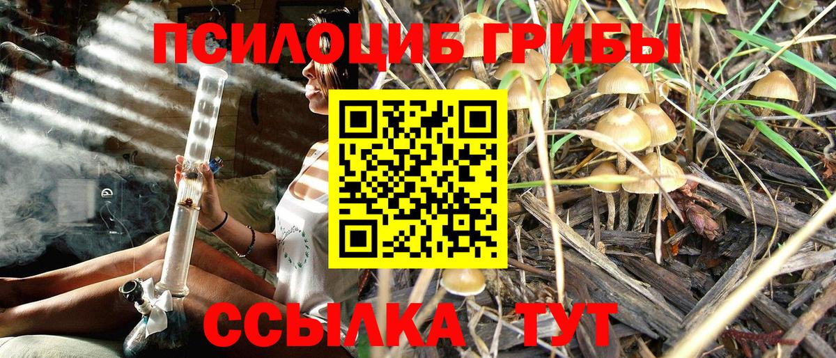 Псилоцибиновые грибы Psilocybine cubensis  Вход с VPN  Зеленогорск 