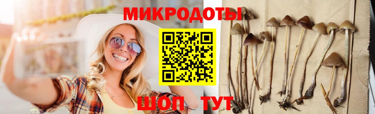 как найти наркотики  Галлюциногенные грибы мухоморы  Зеленогорск  Псилоцибиновые грибы MAGIC MUSHROOMS 