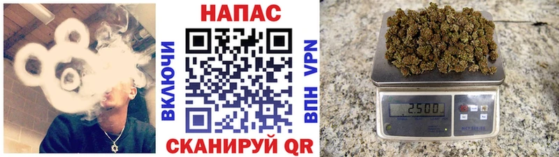 наркотики  Зеленогорск  гидра зеркало  Канабис планчик 